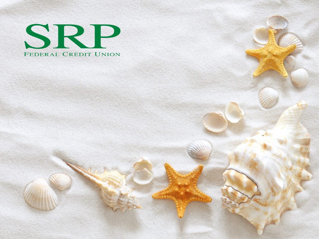 Money-smart travel save now, live it up later A collection of seashells, such as conch, starfish, and clamshells, on smooth white sand.