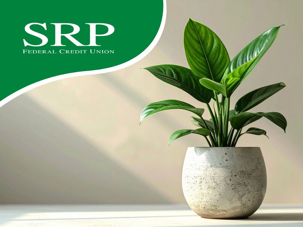 What Happens to Debt After Death A peace lily next to the credit union's logo